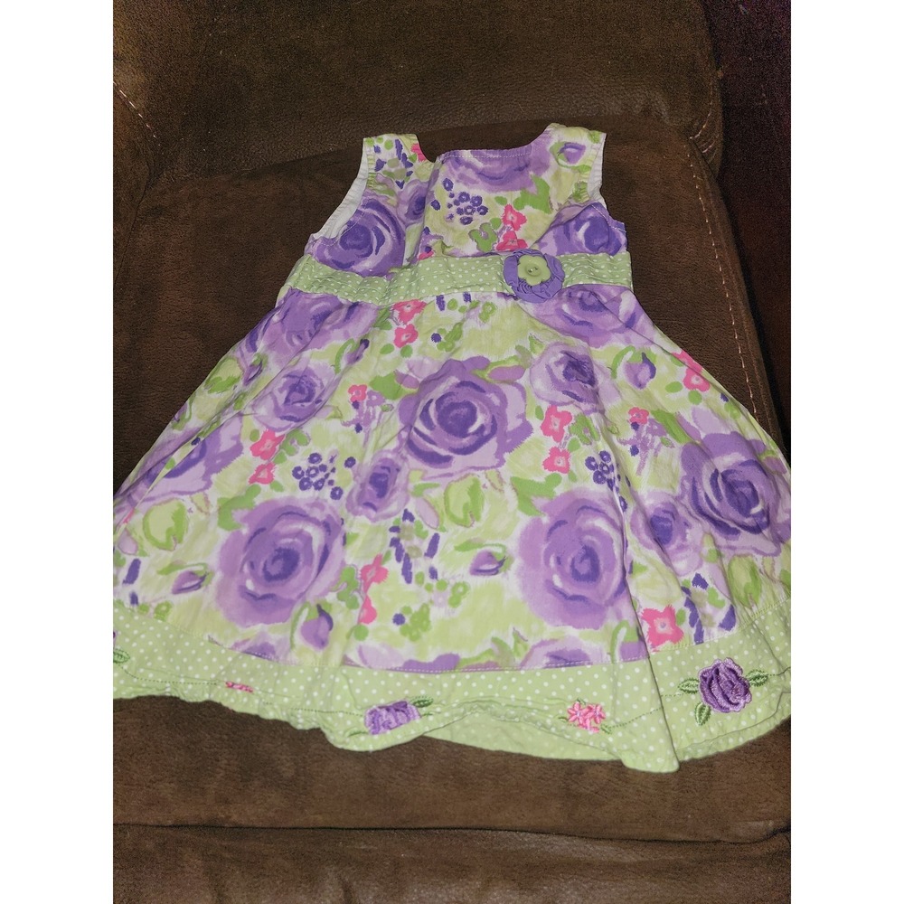 Blueberri boulevard spring floral Easter dress size 24 months‎